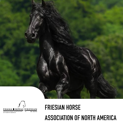 friesian