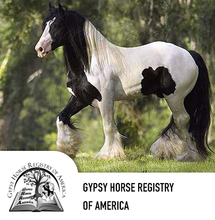 gypsy