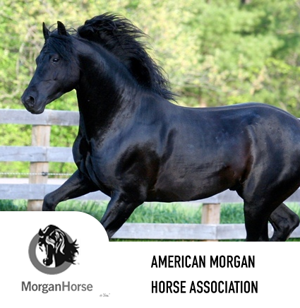 morgan