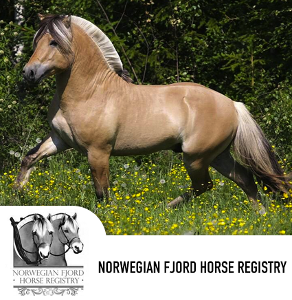 norwegian