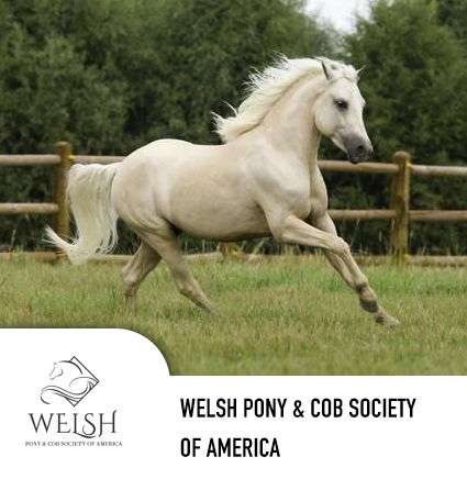 welsh